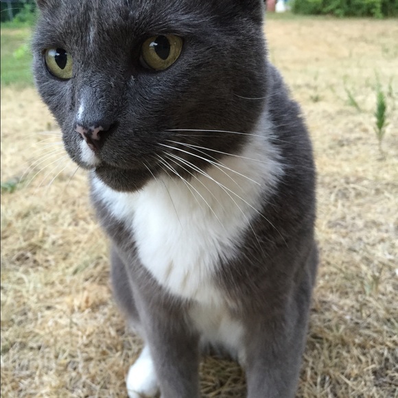 Meet your Posher, Lindsey - Picture 4 of 4